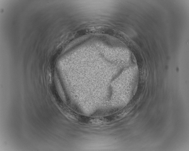 X0000075360703200609251102