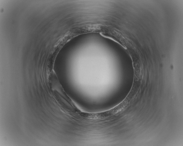 X0000075360704200609251102