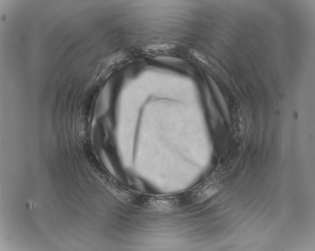 X0000075360706200609251102