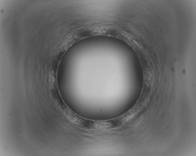 X0000075360707200609251102