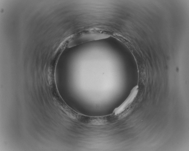 X0000075360708200609251102