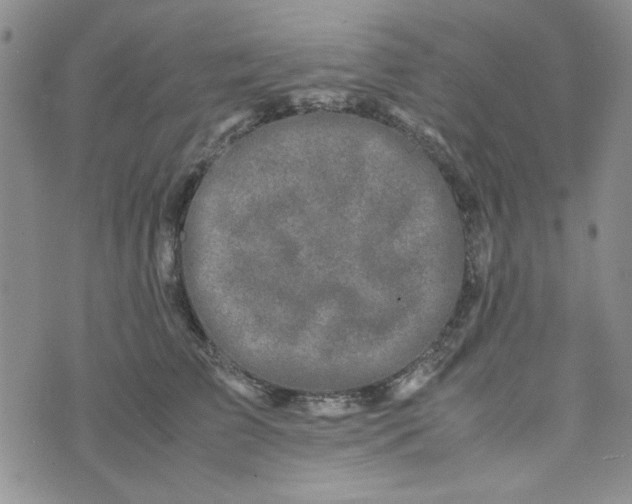 X0000075360709200609251102