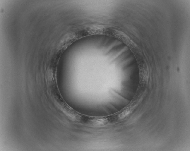 X0000075360711200609251102