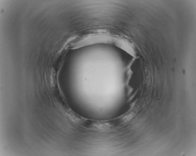 X0000075360712200609251102