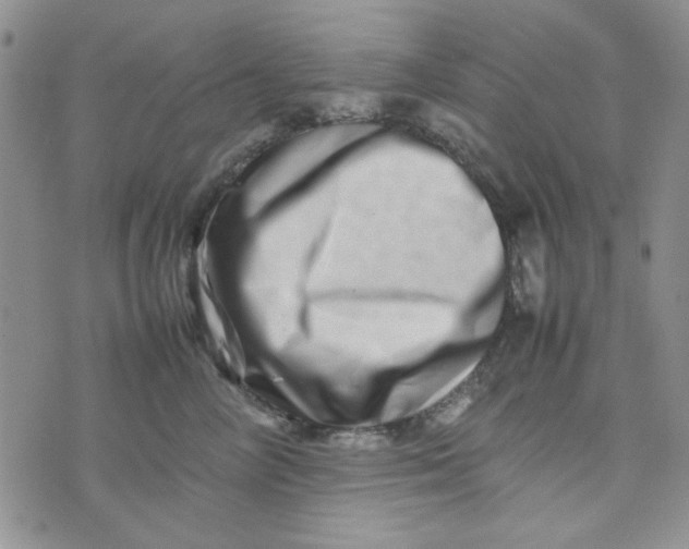 X0000075360714200609251102