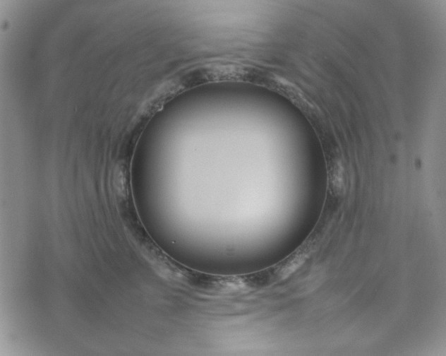 X0000075360715200609251102