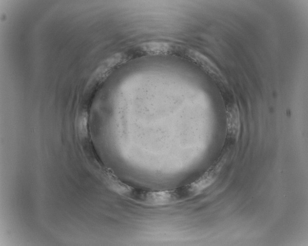 X0000075360717200609251102