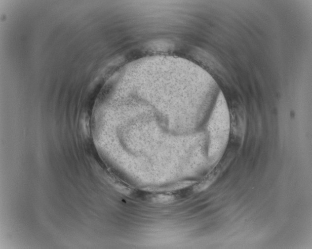 X0000075360718200609251102