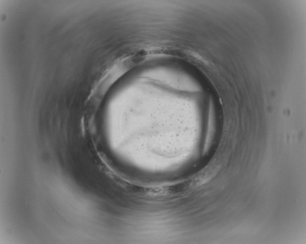 X0000075360720200609251102