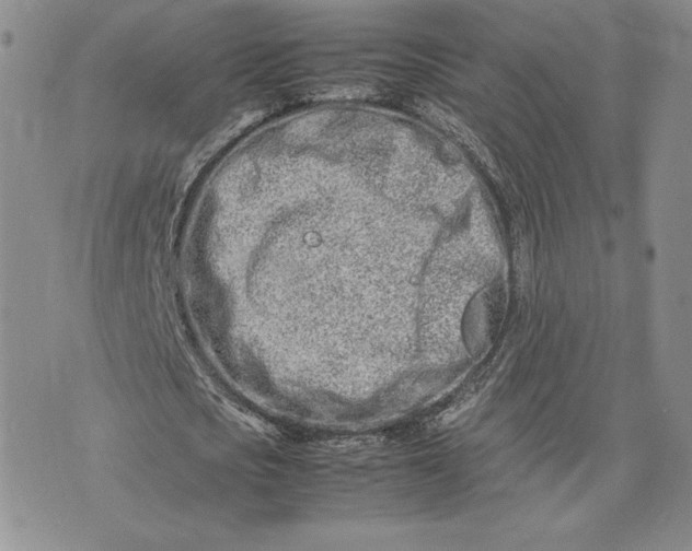 X0000075360721200609251101