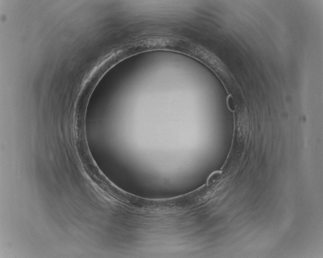 X0000075360722200609251101