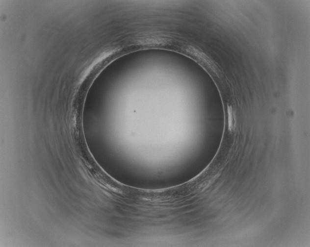 X0000075360723200609251101