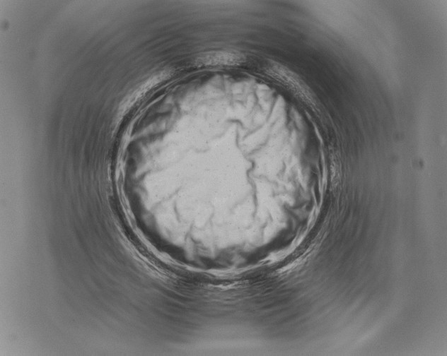 X0000075360725200609251101