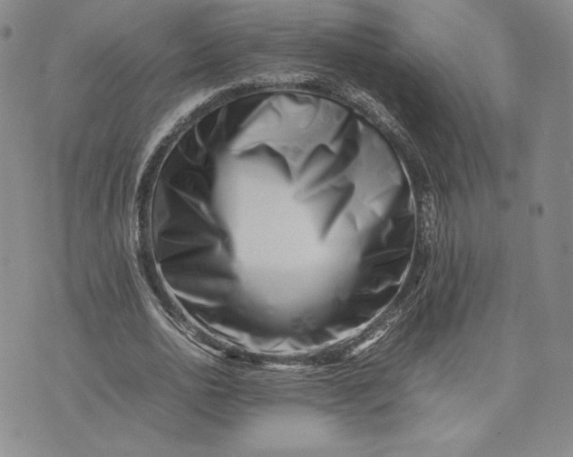 X0000075360726200609251101