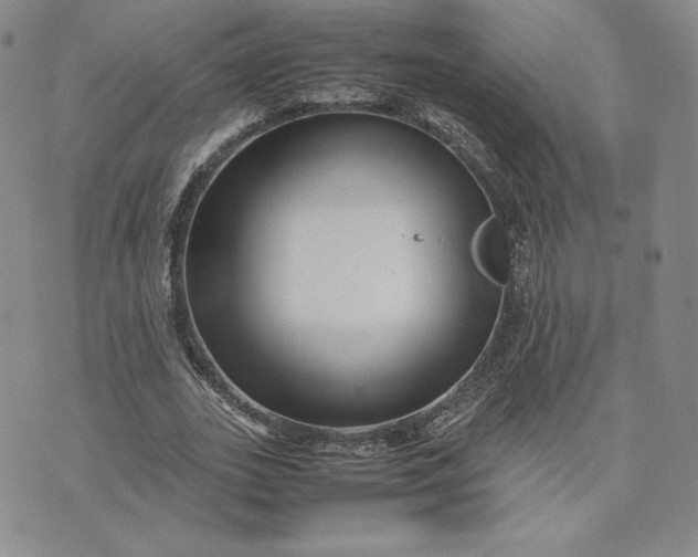 X0000075360727200609251101