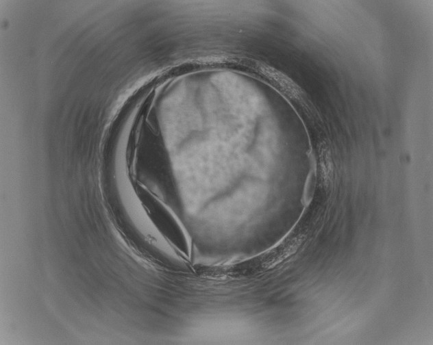 X0000075360728200609251101