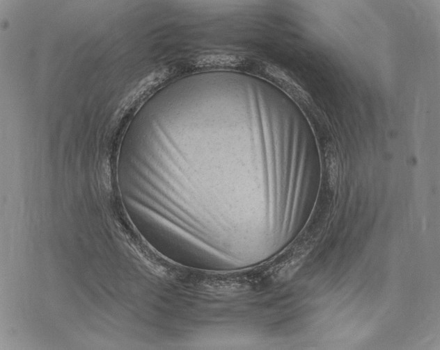 X0000075360729200609251101