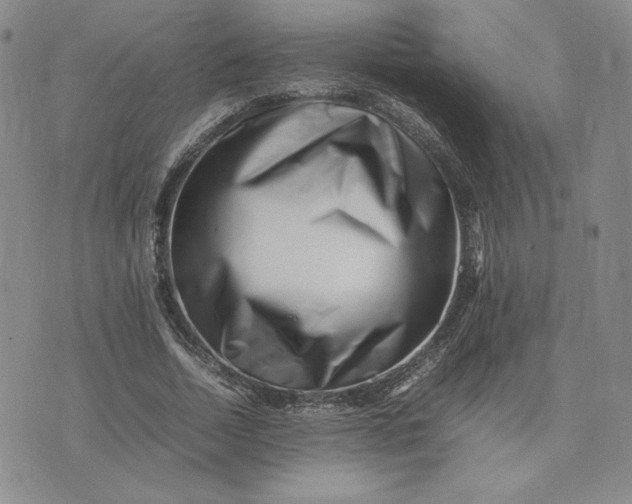 X0000075360730200609251101