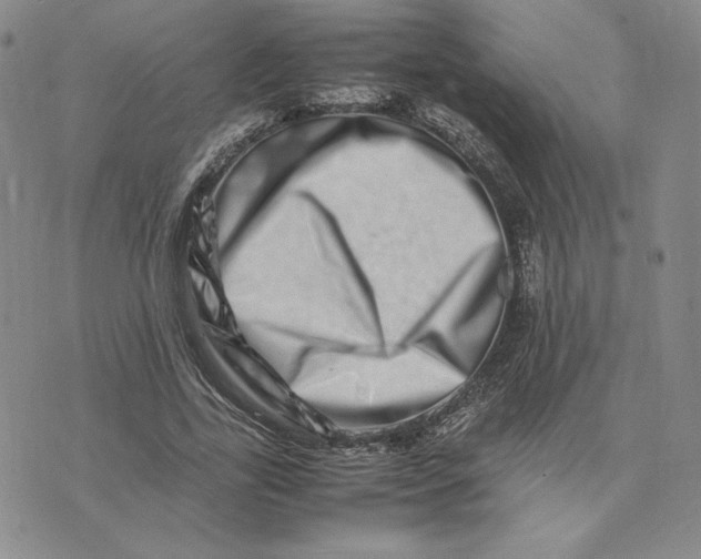 X0000075360731200609251101