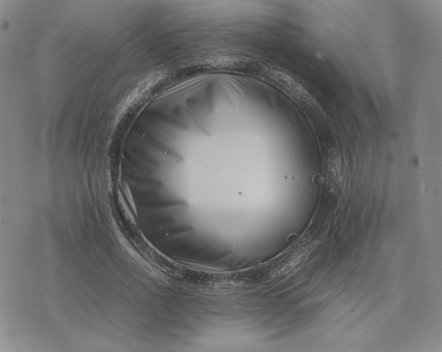 X0000075360734200609251101