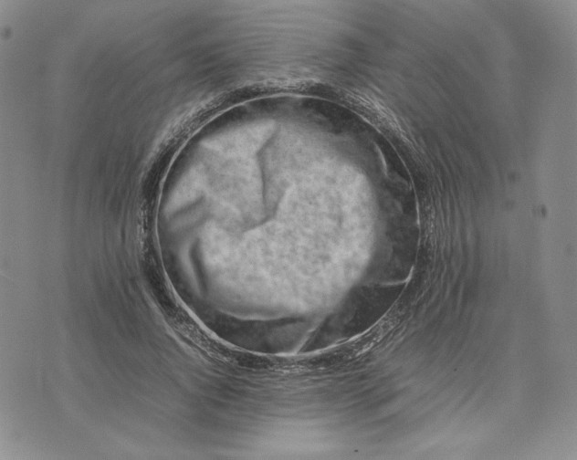 X0000075360736200609251101