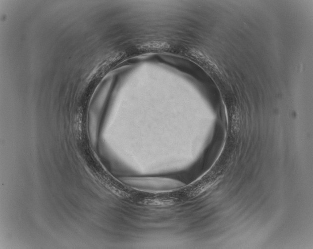 X0000075360739200609251101