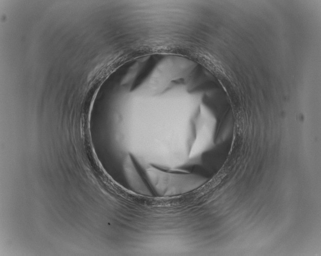 X0000075360740200609251101