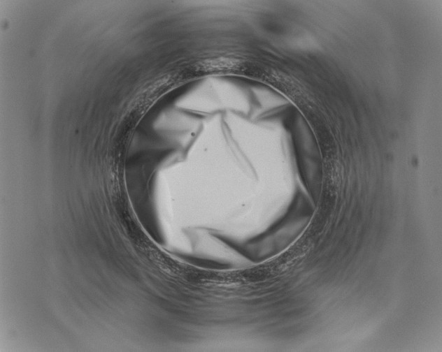 X0000075360743200609251101