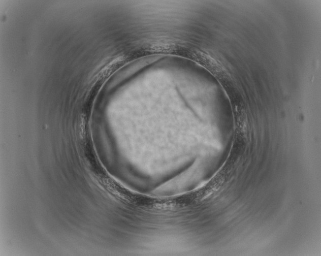 X0000075360744200609251101