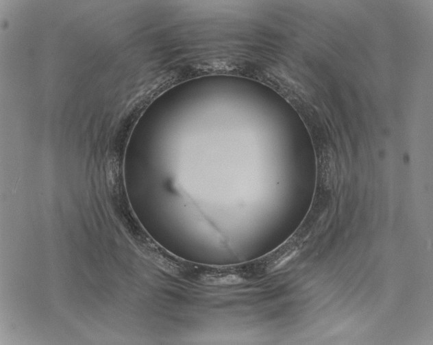 X0000075360747200609251101