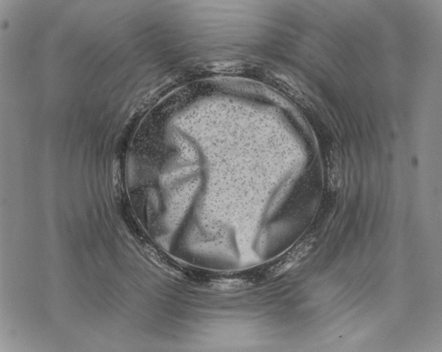 X0000075360748200609251101