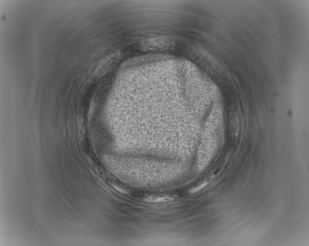 X0000075360749200609251101