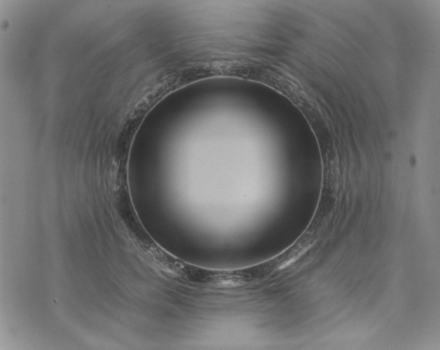 X0000075360750200609251101