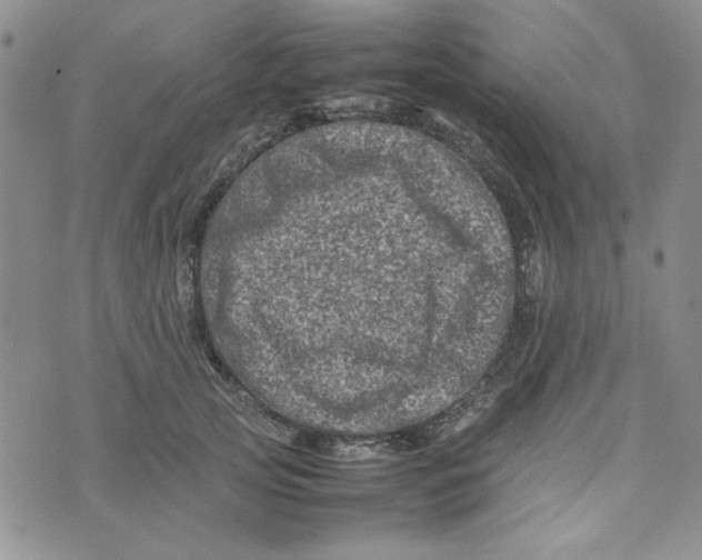 X0000075360753200609251101