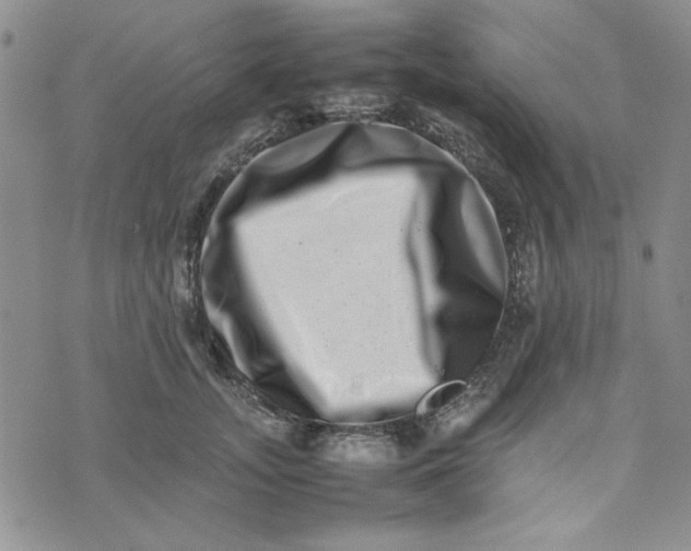 X0000075360755200609251101