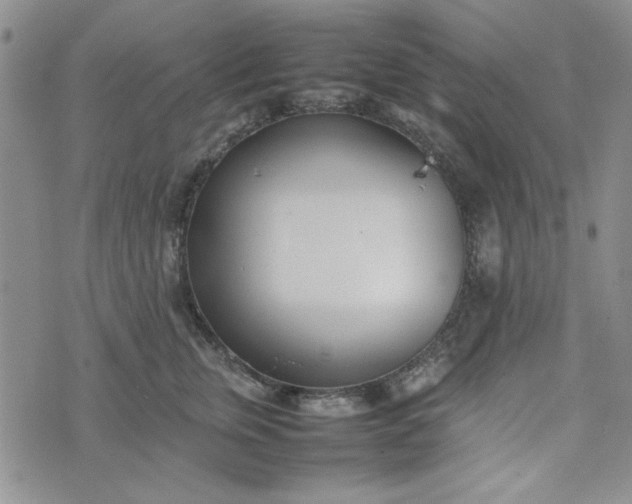 X0000075360759200609251101