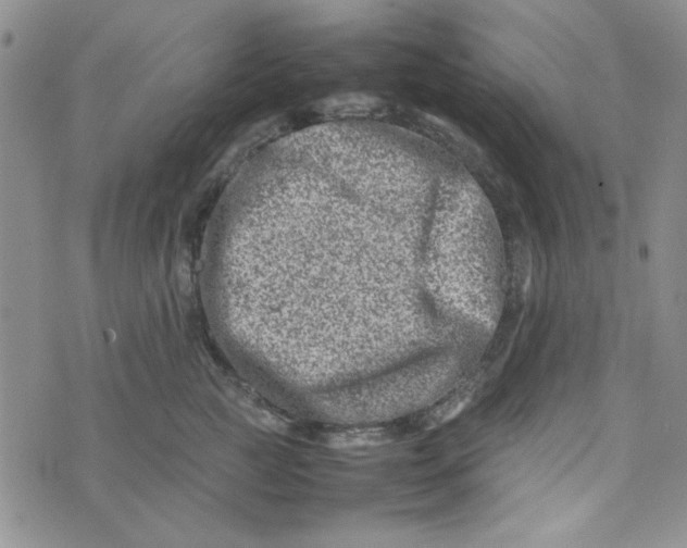 X0000075360761200609251102