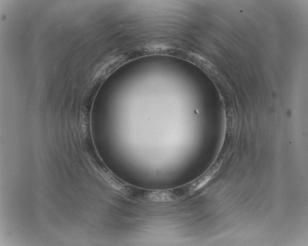 X0000075360762200609251102