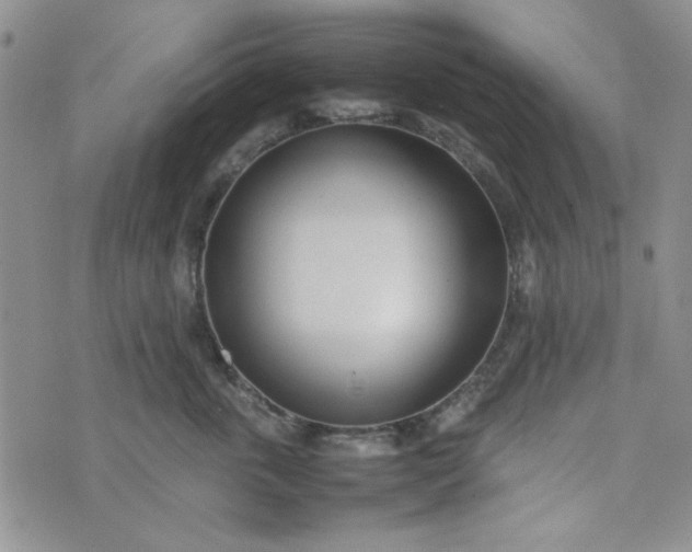 X0000075360763200609251102