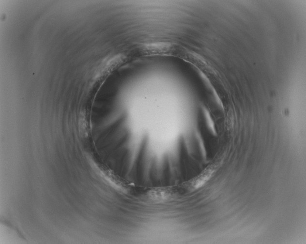 X0000075360764200609251102