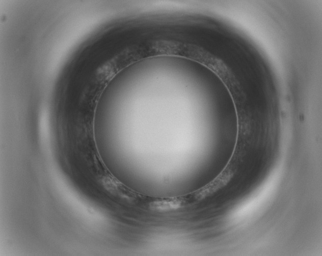 X0000075360765200609251102