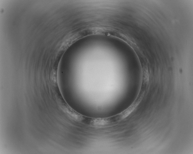 X0000075360766200609251102