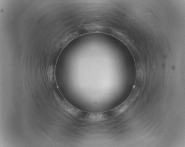 X0000075360767200609251102