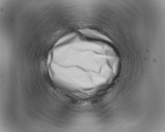 X0000075360768200609251102