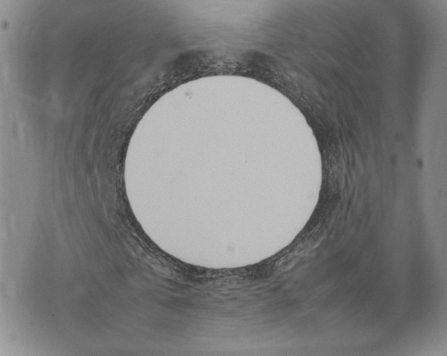 X0000075360769200609251101