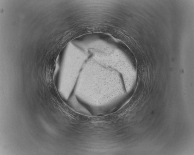 X0000075360770200609251101