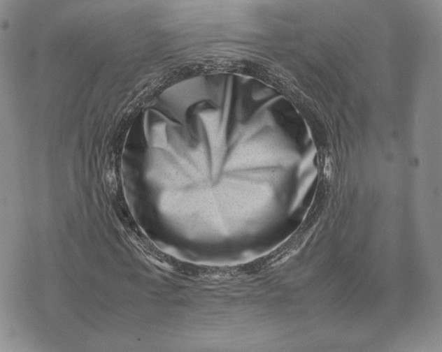 X0000075360771200609251101