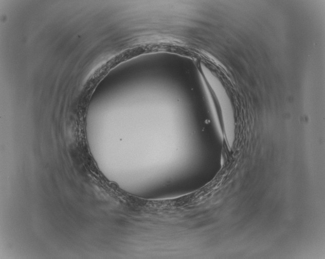 X0000075360775200609251101