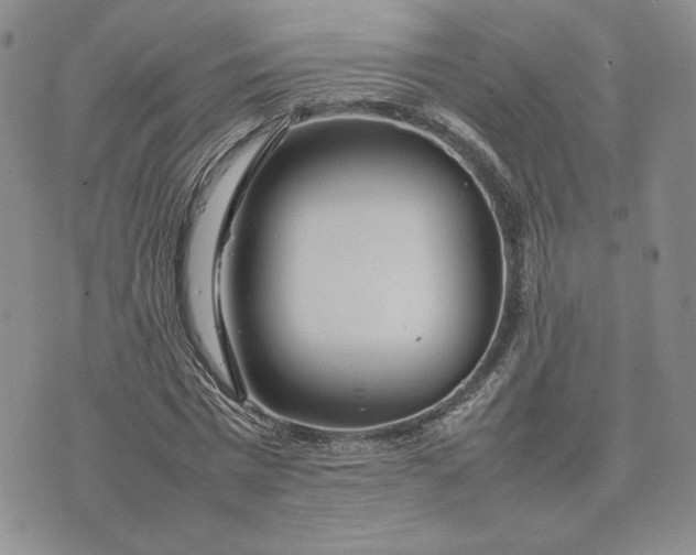 X0000075360777200609251101