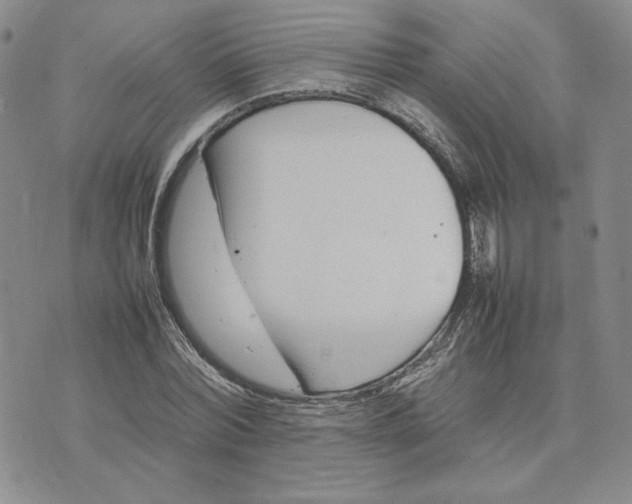 X0000075360780200609251101